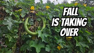 🍂 October Garden Tour | The Garden Is Changing