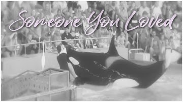 𝐒𝐨𝐦𝐞𝐨𝐧𝐞 𝐘𝐨𝐮 𝐋𝐨𝐯𝐞𝐝 • 𝓣𝓪𝓲𝓶𝓪