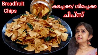എത്ര കഴിച്ചാലും മതിവരാത്ത കടച്ചക്ക/ ശീമച്ചക്ക ചിപ്സ് 😋/Crispy Breadfruit Chips With Eng Subtitles