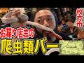 【バー】の中に爬虫類？！シーシャもあるお店”カンタータ”に潜入！