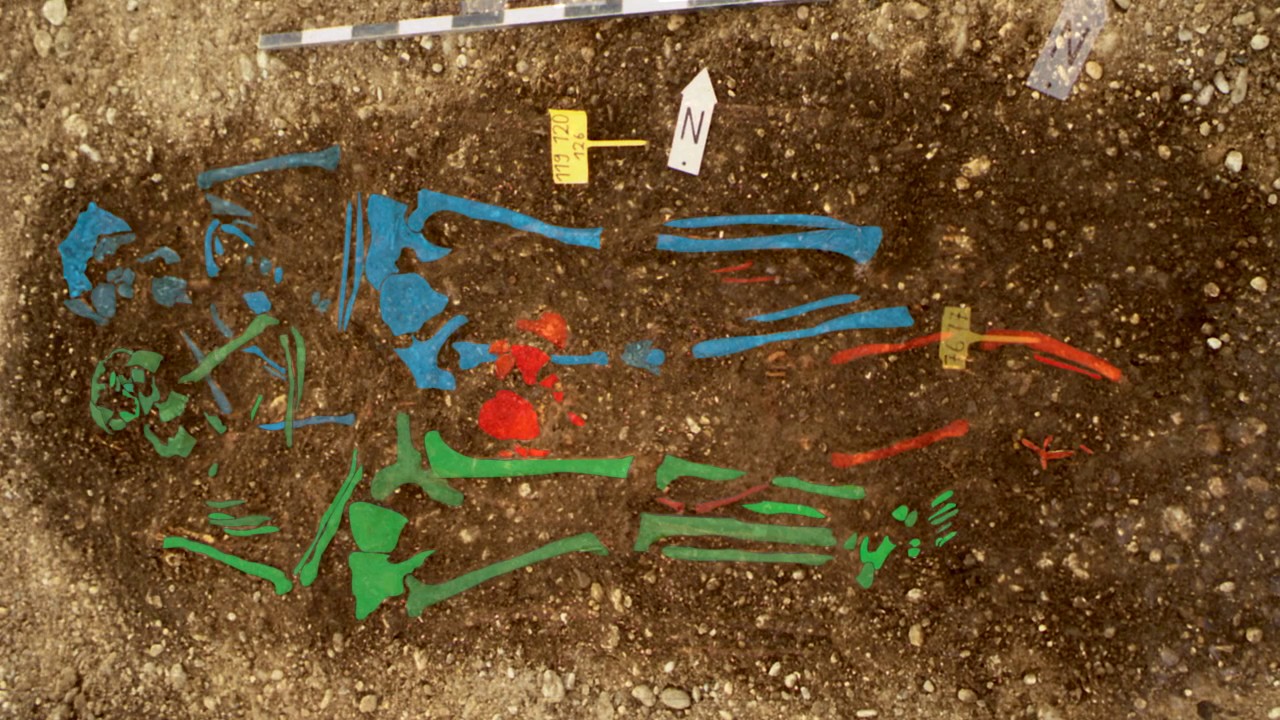 SmartNews: Could a Plague Pandemic Strike Again?