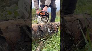 Forest Work STIHL - MS 180 🪚🪵 #chainsaw #stihl #work