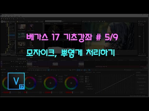 Vegas Pro 17 Basic Tutorial # 5/9 How to Mosaic and Blur