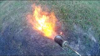 How To Get Rid Of Sandspurs