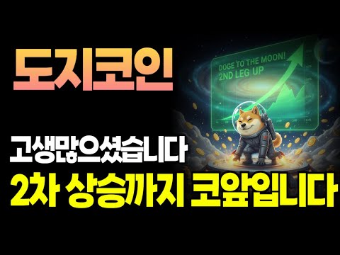 [도지코인] 밈코인이 시장을 다 갈아치운다! 거래량 터지면서 세력들이 상승시키는 이유!