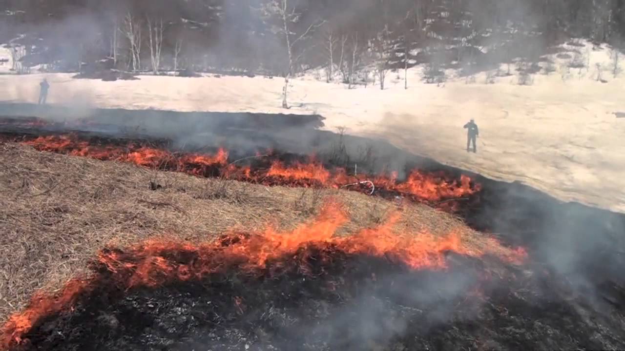 2015年の上ノ原の野焼き: Grassland burning in Japan@Uenohara Gumma Prefecture