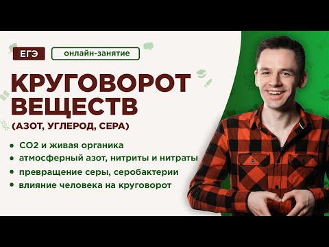 Круговорот веществ: углерод, азот, сера | ЕГЭ Биология | Даниил Дарвин