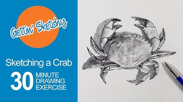 How to Sketch a Crab - Live Drawing Exercise