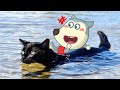 Youtube Thumbnail title