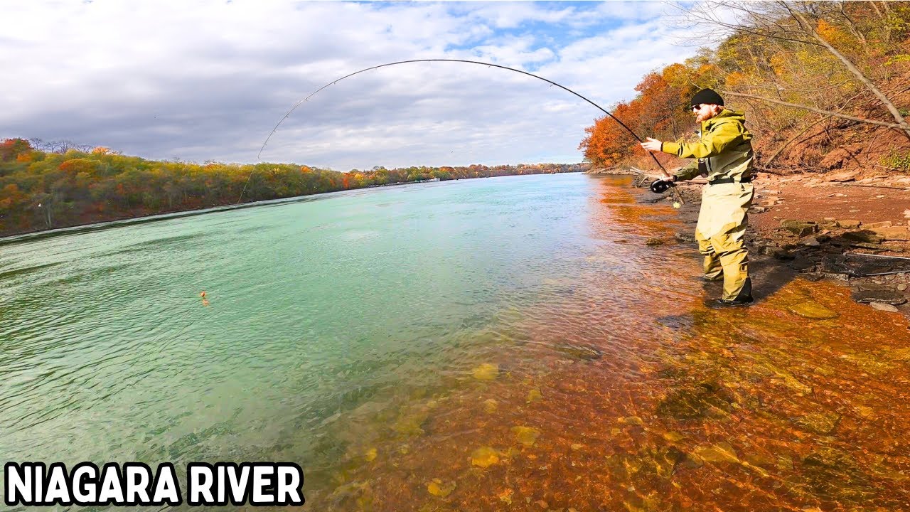 Большая река, большая форель – рыболовная миссия на реке Ниагара