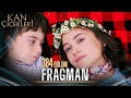 Kan Çiçekleri 384 Bölüm Tanıtımı Kan Çiçekleri 384 Bölüm Tanıtımı