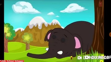 Evs grade Kg dated 16 04 20