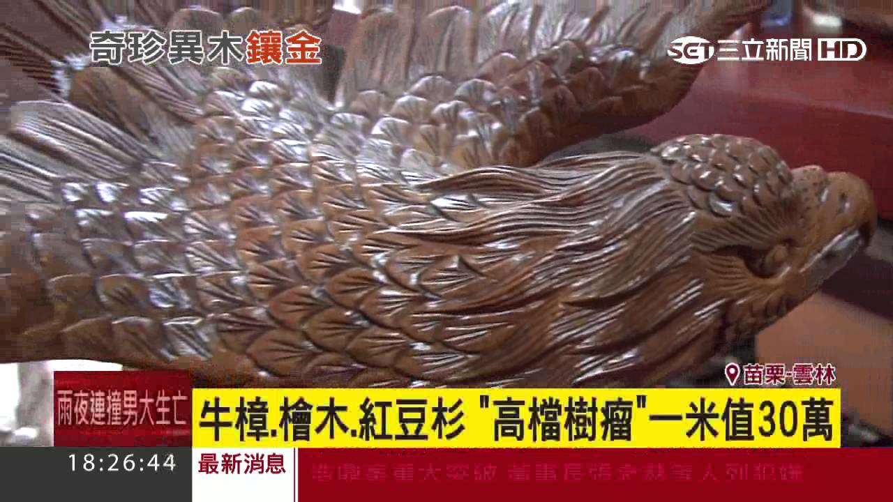 【獨家】牛樟、檜木、紅豆杉　「高檔樹瘤」一米值30萬｜三立新聞台