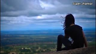 Dil Kehta Hai Chal Unse Mil ((Super Jhankar)) Akele Hum Akele Tum Songs Kumar Sanu & Alka Yangik.