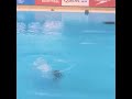 Kate miller can   junior diving championships 2022