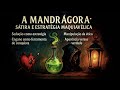 A Mandragora - Um tratatado sobre estratégia política - por Nicolau Maquiavel.