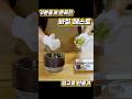 기분좋게 존득한 바질페스토 #바질 #페스토 #파스타