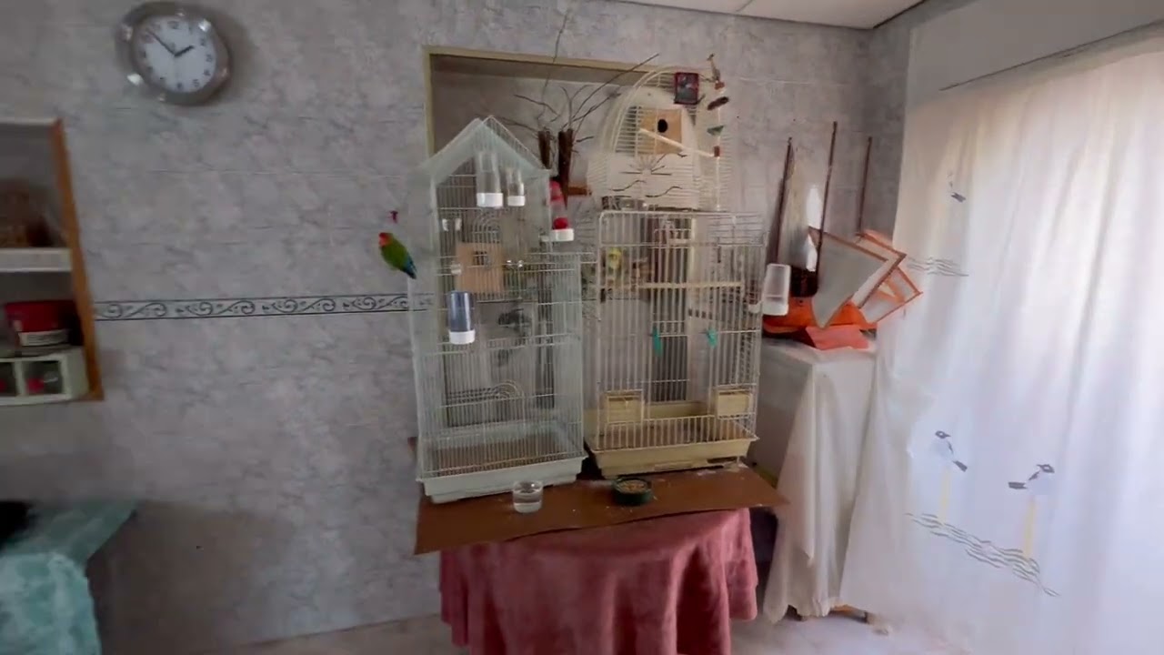 Piso en ELDA en venta