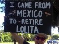 Miracle March for Lolita - Part 1 (mobile)