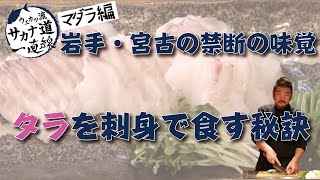 【マダラ編】禁断の味覚！岩手・宮古のタラ刺し