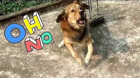 Shortest Video On YouTube Part 6