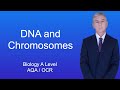 DNA Organization and Chromosome Structure in Cells
