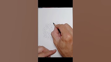 cách vẽ hoa Cẩm Tú cầu / how to draw hydrangea flowers