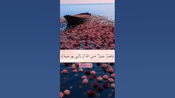 فصبر جميل عسى الله ان يأتيني بهم جميعا #quran#surat yusef #سورة يوسف