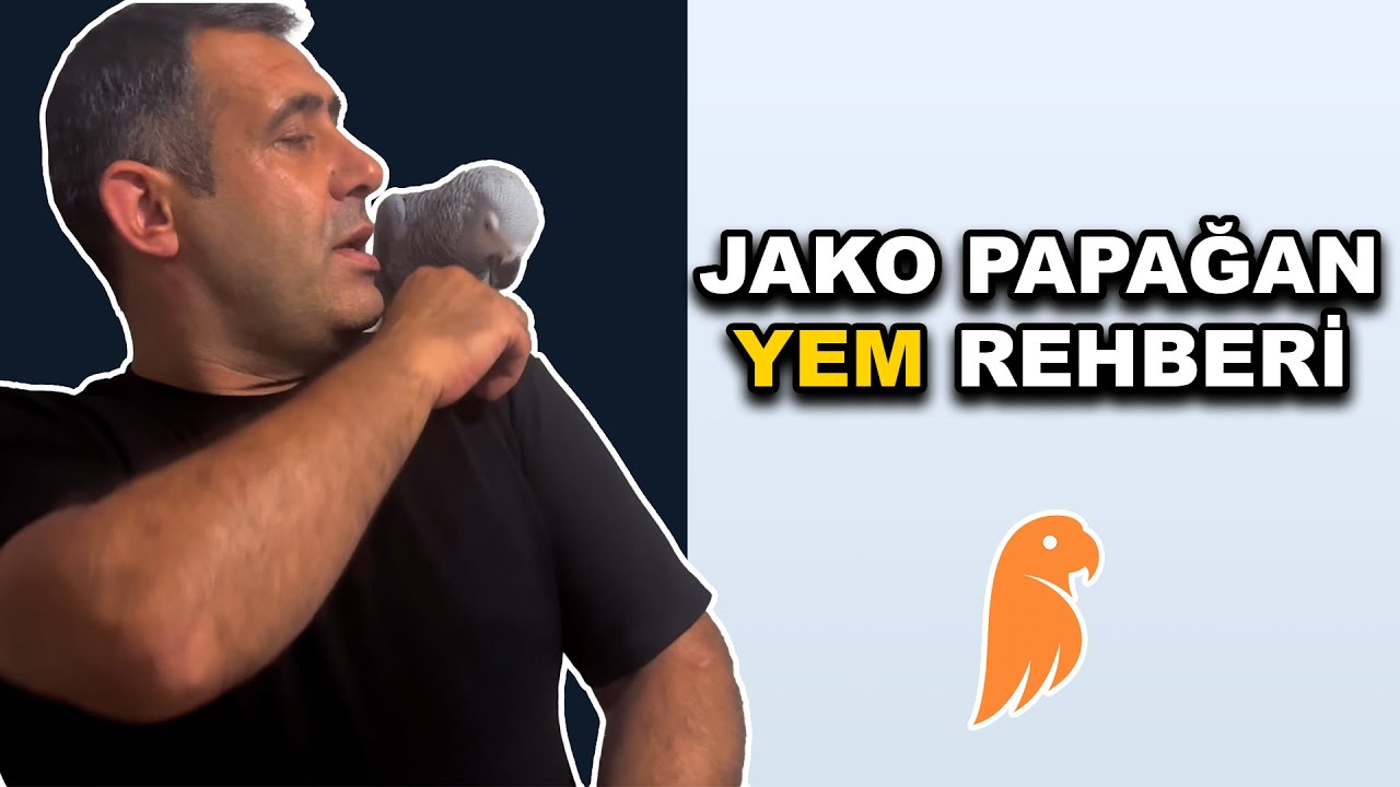 Jako Papağan Pelet Yem Rehberi: En İyi Yem + Kötü Yemin Zararları