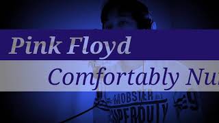 Pink Floyd - Comfortably numb (Cover)