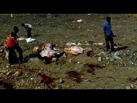 عيد الاضحى 1430 Mp4