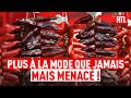 Chronique d'Olivier Dauvers : le piment d'Espelette menacé ?