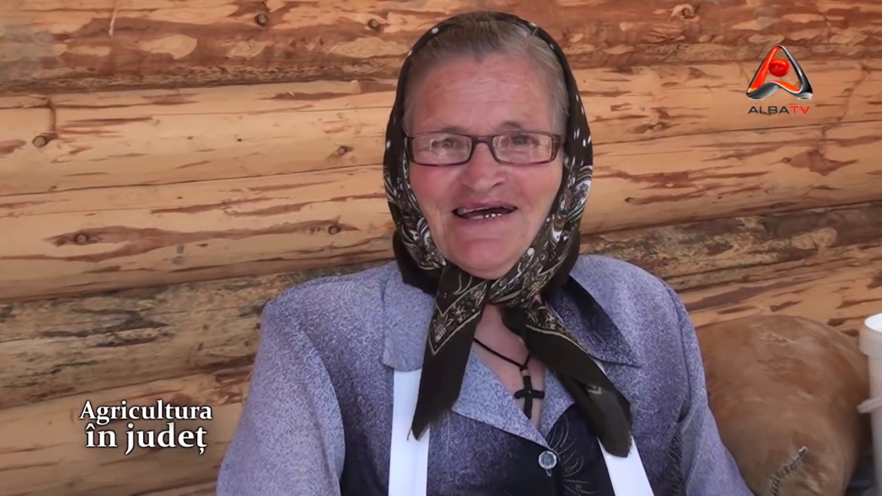 AGRICULTURA IN JUDET -Branza si oierii de la LOMAN