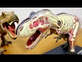 恐竜 ティラノサウルスの体の中がどんな作りか見れる!?4D VISION TYRANNOSAURUS REX ANATOMY MODEL