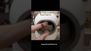 Buying This Could KiII Your Cats 😰 #dangerous