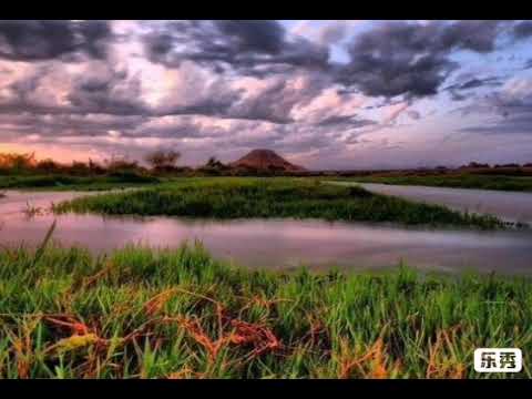 خدمة تلاوات ماهر المعيقلي ق ل م ت اع الد ن ي ا ق ل يل و ال آخ ر ة