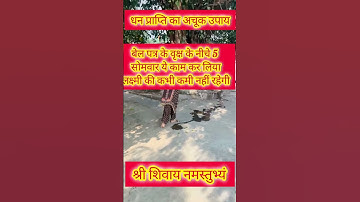 5 सोमवार बेलपत्र के वृक्ष के नीचे #panditpradeepmisra #upay #bholenath #mahadev #shorts