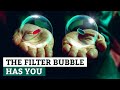 Filter Bubbles & Echo Chambers: How the Internet Affects Your Mind