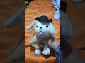 no te enfrentes Ami pandilla