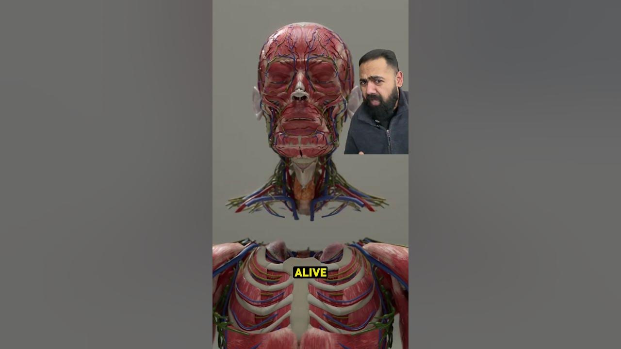 Doctor Reacts To Head Transplant Surgery!