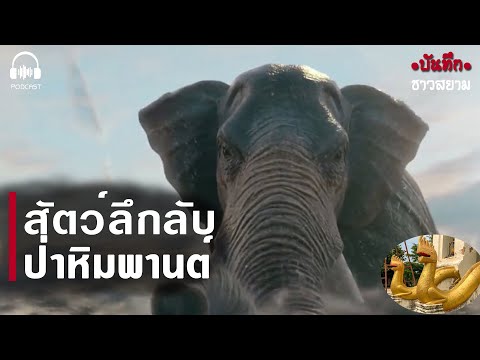 ตำนาน สัตว์ลึกลับในป่าหิมพานต์ EP01 วารีกุณชร | เหรา | มกร | ครุฑ | พญานาค | ปักษาวายุภักษ์ | มอม