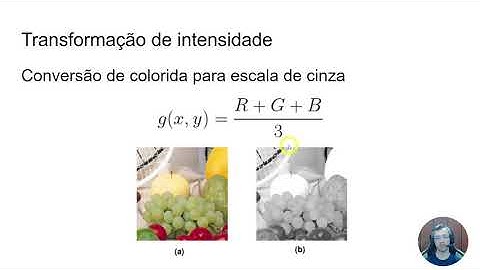 Computação Gráfica - Transformações de intensidade (colorido para escala de cinza)