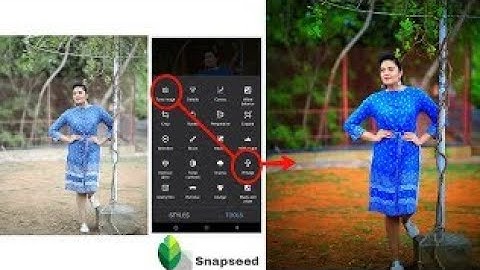 Snapseed Amazing Editing Tricks 1 Best Color Effect | Best 2 New Tricks | top2u| || top2u ||