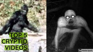 TOP 5 CRYPTID VIDEOS | EPISODE 1