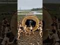 Rescue animal from large log #animal #animals #funny #short #shorts #animales #wildlife #animalfunny