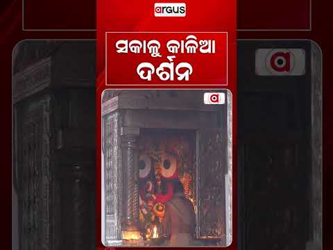 ସକାଳୁ କାଳିଆ ଦର୍ଶନ | Divine Morning Darshan Of Lord Jagannath In Puri Srimandir | Argus News