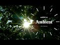 Ambient Study Music For Focus 24/7, Ambient Study Music For Deep Focus 2020