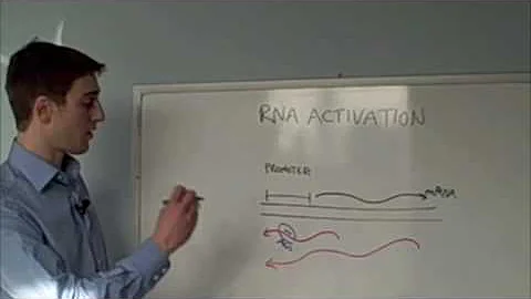 Now Showing: RNA Activation - DayDayNews