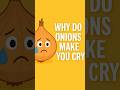 Why Do Onions Make You Cry? 🧅 | Science Explained in 1 Minute #OnionFacts #ScienceShorts #WhyWeCry