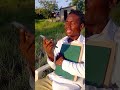 MWANAFUNZI MTOLO SASA Thekevinfive MWANAFUNZI MTOLO SASA Thekevinfive